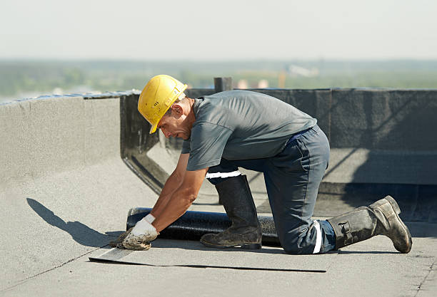 Best Cellulose Insulation  in Fennville, MI